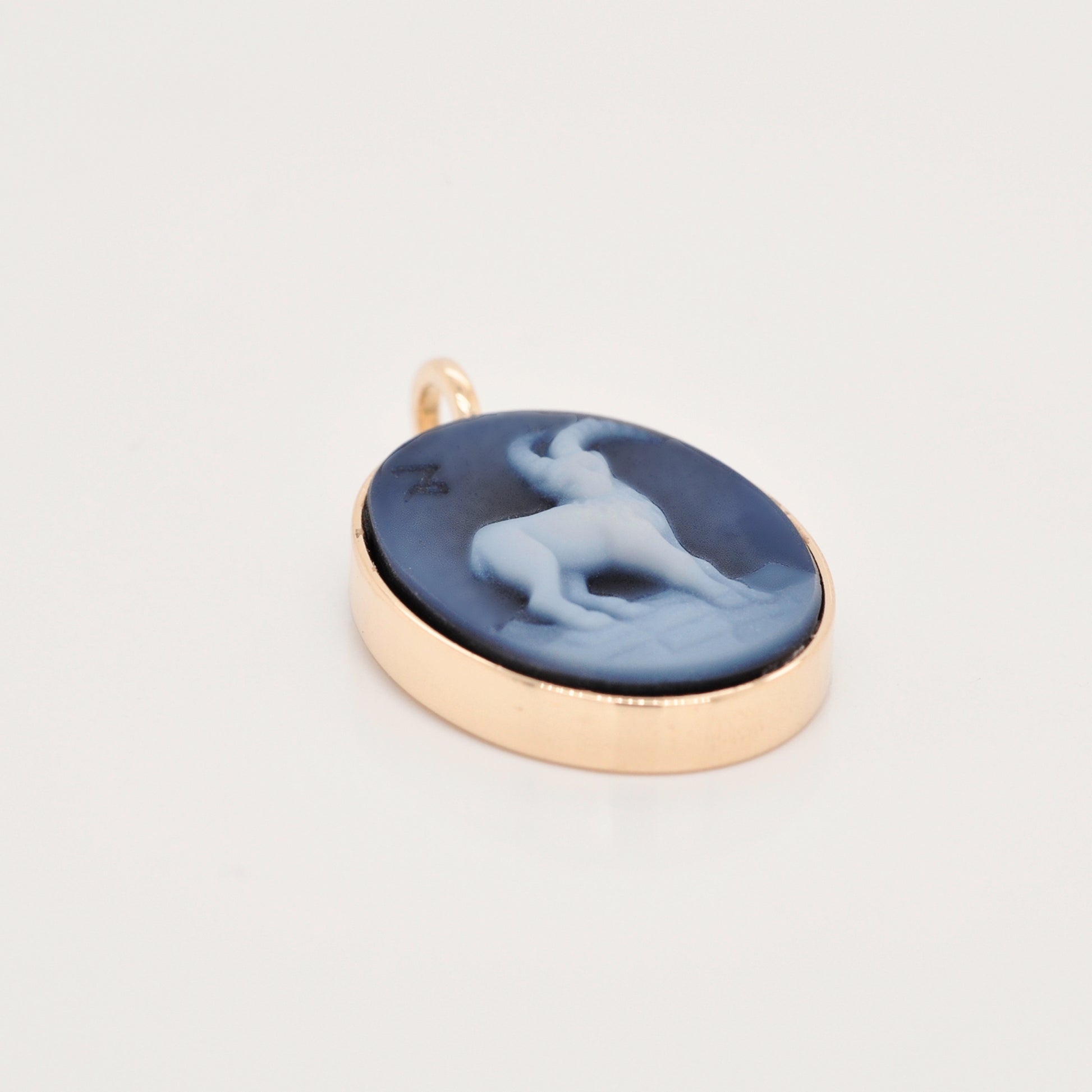 capricorn pendant