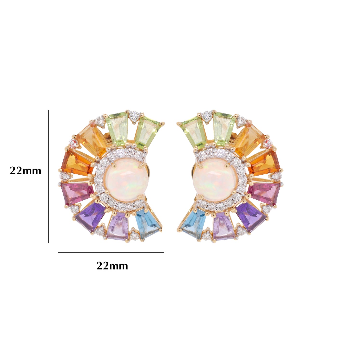 Circle Rainbow Ferris Wheel Earrings