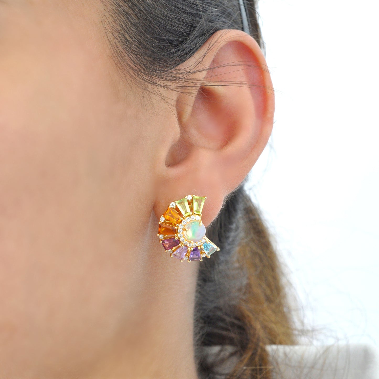 Circle Rainbow Ferris Wheel Earrings