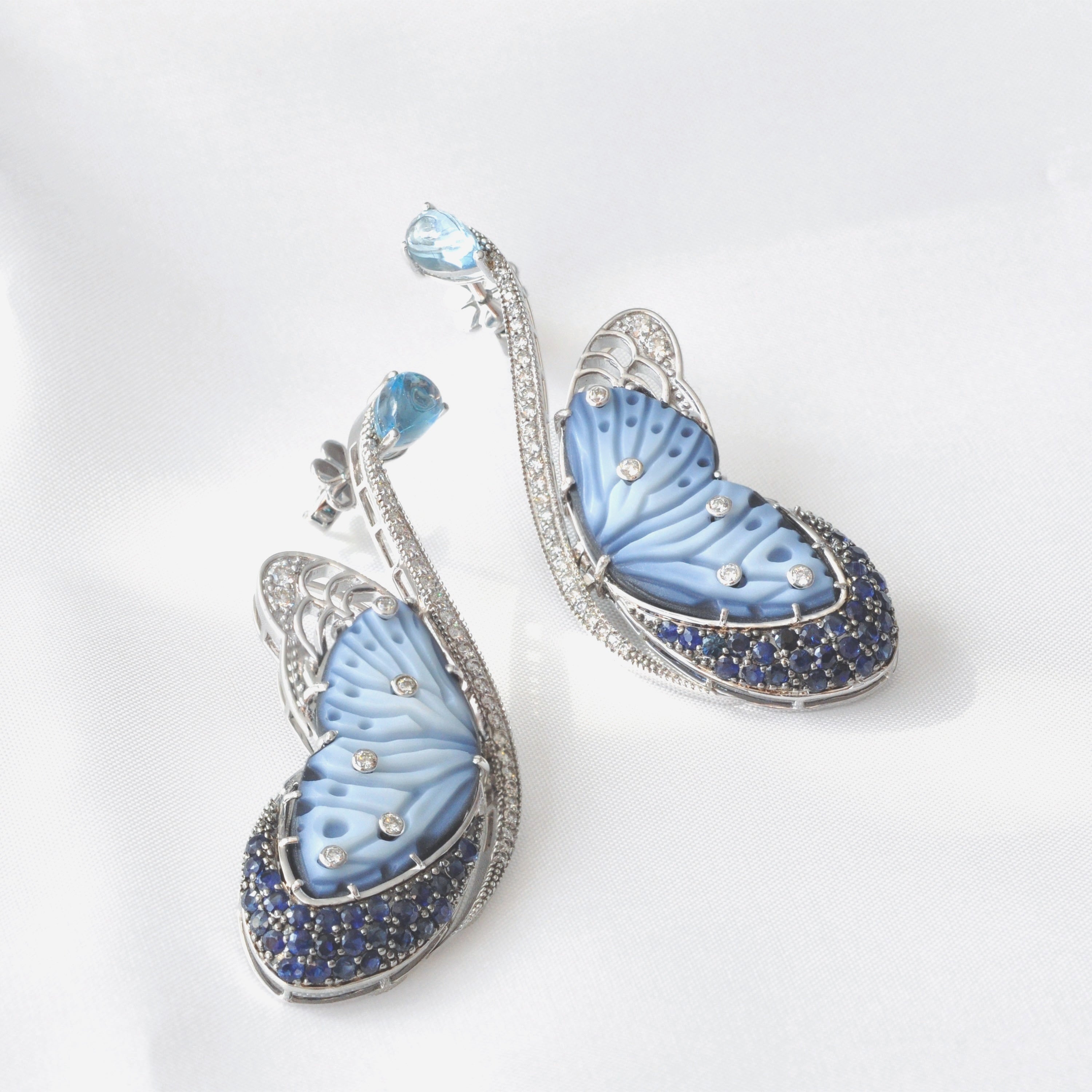 BUTTERFLY COLLECTION