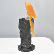 Hand-Carved Calcite Macaw with Amazonite, Fluorite and Onyx on Amethyst Base