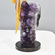 Hand-Carved Calcite Macaw with Amazonite, Fluorite and Onyx on Amethyst Base