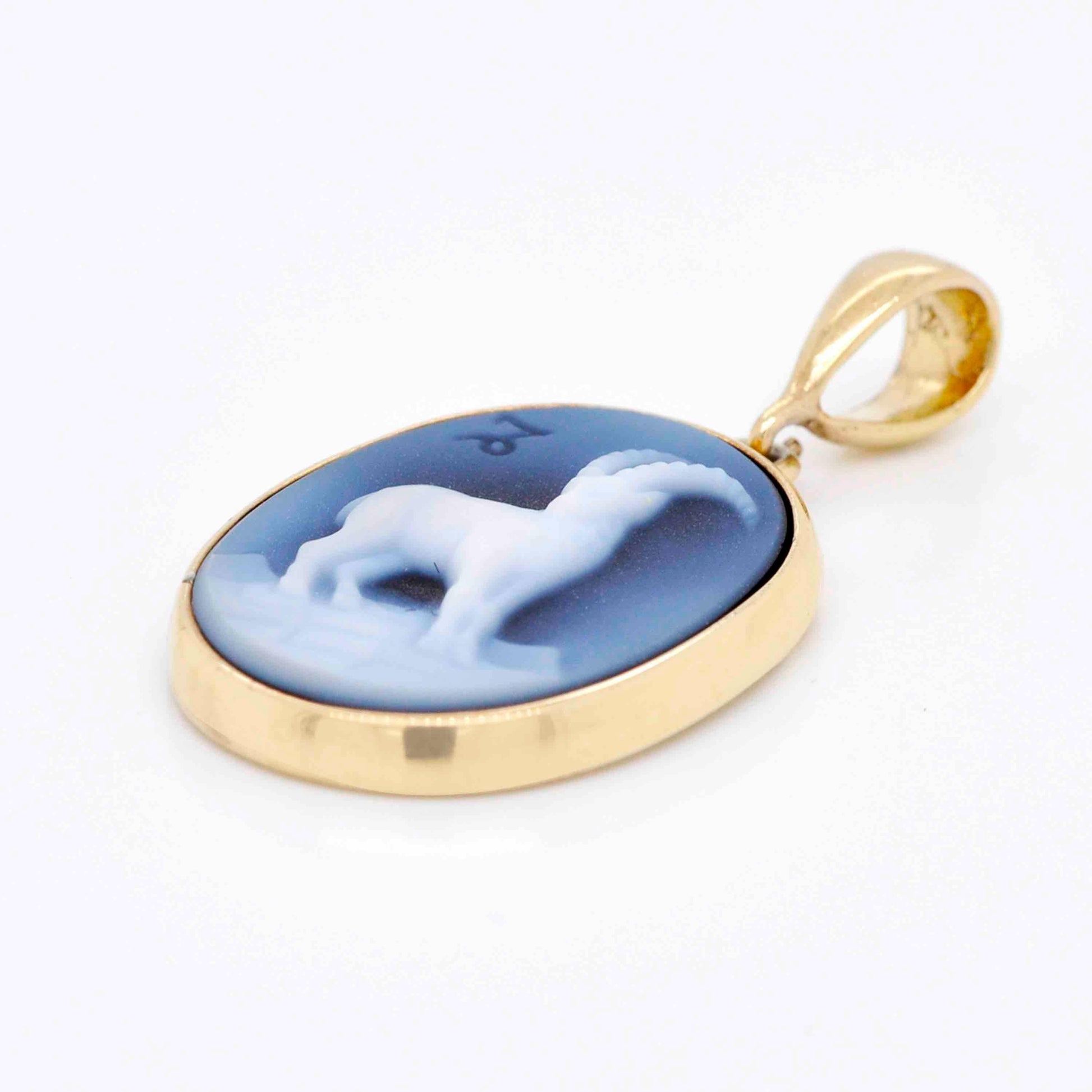 Natural Agate Capricorn Pendant