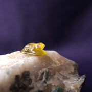 Hand Carved Apatite Frog Carving