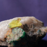 Hand Carved Apatite Frog Carving