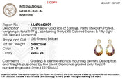 Doorknocker Rainbow Earrings