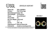 Multicolor Nora Earrings