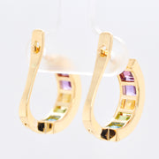 Linear Rainbow Hoop Earrings