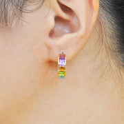 Linear Rainbow Hoop Earrings