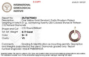 Circle Rhodolite Diamond Pendant