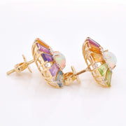 Circle Rainbow Ferris Wheel Earrings