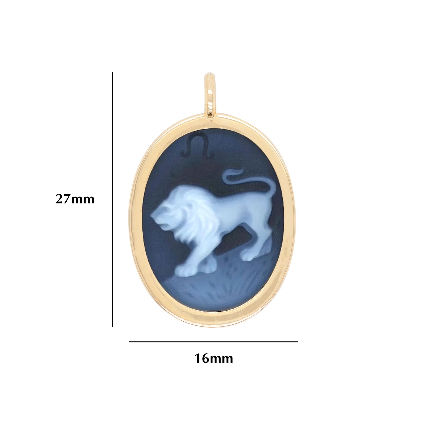 14K Leo Cameo Carving Sternzeichen Reversible Anhänger