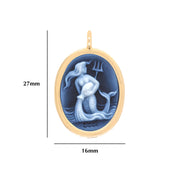 Zodiac Aquarius Reversible Pendant